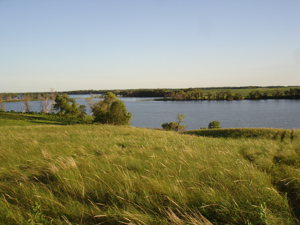 Parcel G&H Silver View Road, Battle Lake, MN 56515