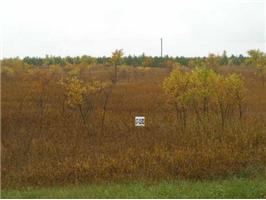 XXX-6 Pleasant Ave W, Clitherall, United States 56524