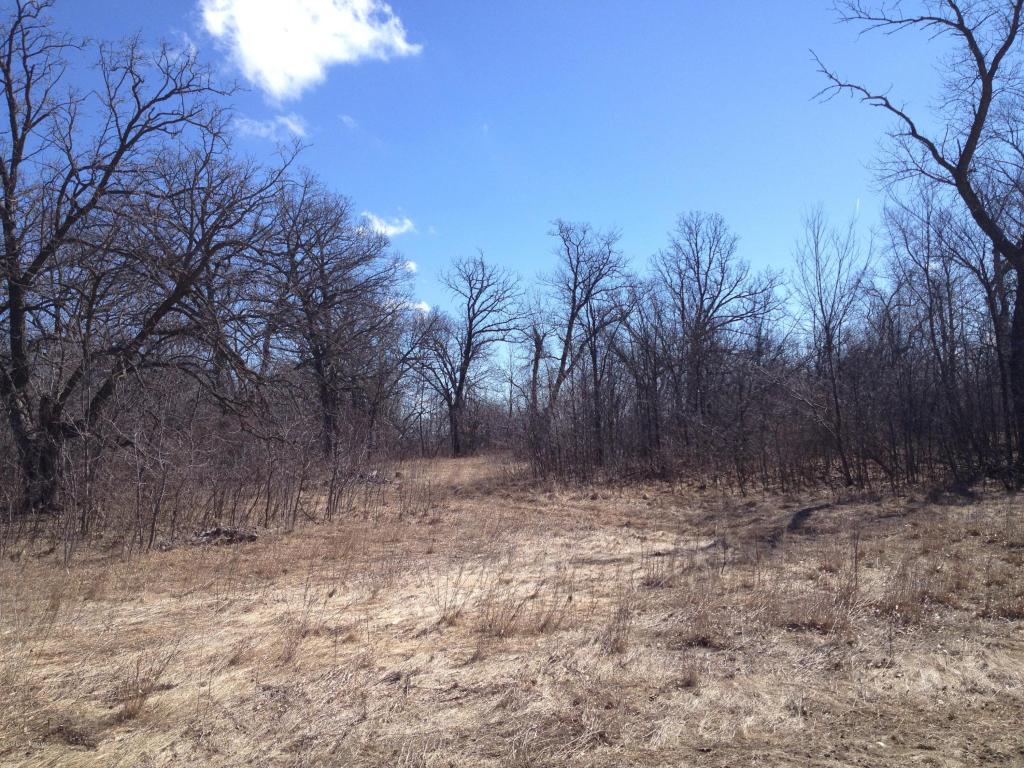 295xx 202nd Avenue, Fergus Falls, MN 56537