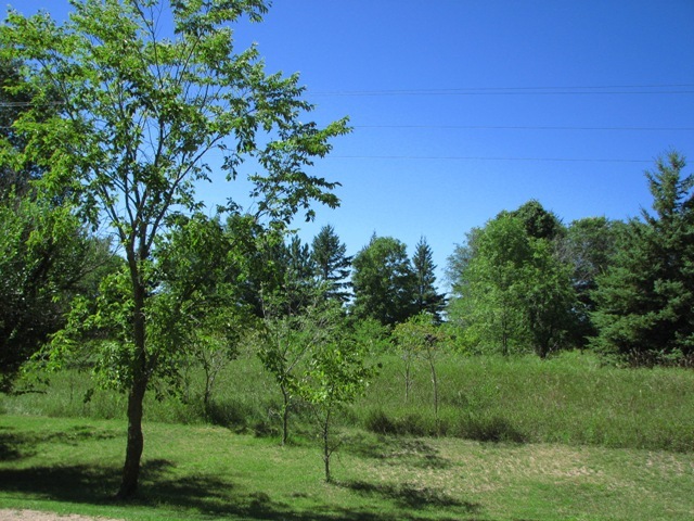 Xxxxx Eagle Lake Road, Frazee, MN 56544