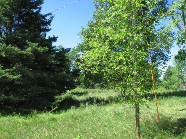 Xxxxx Eagle Lake Road, Frazee, MN 56544