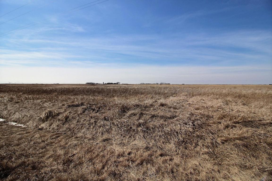 TBD Street, Ogema, MN 56569