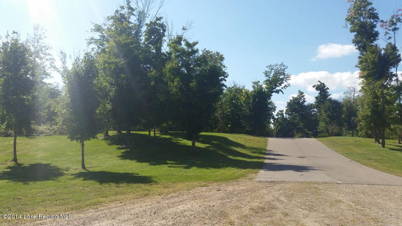 Xxxxx 365th Street, Ottertail, MN 56571