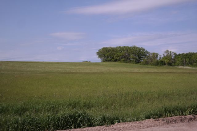 Lot 3 Blk 2-Hwy 59 N, Pelican Rapids, United States 56572