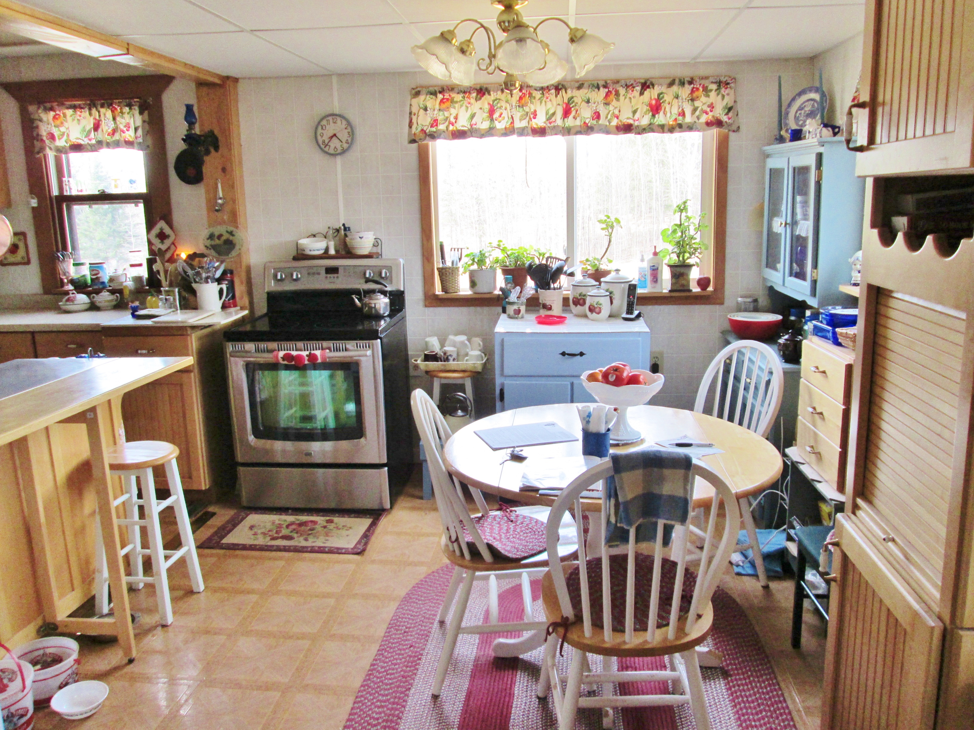 23706Scenic Hwy NE, Blackduck, MN 56630