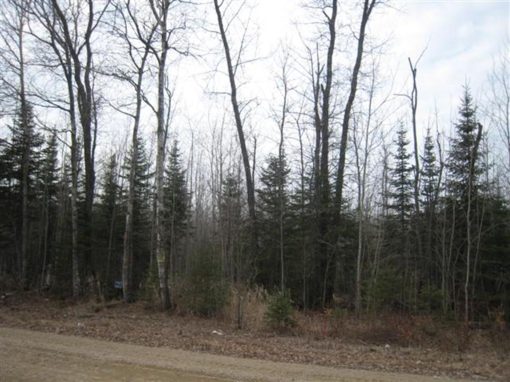 Lot 5 12th Avenue, Federal Dam, MN 56641