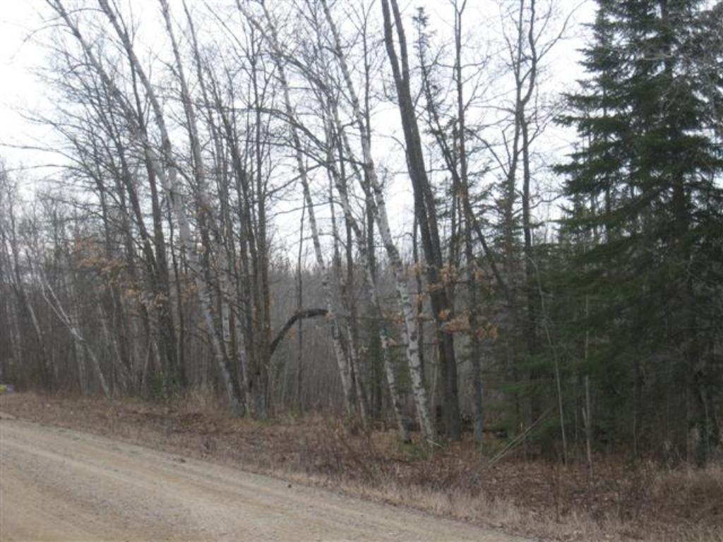 Lot 5 12th Avenue, Federal Dam, MN 56641