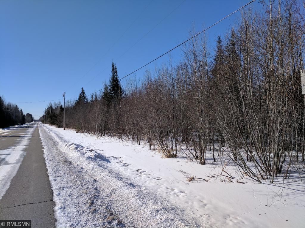 TBD County Road 69, International Falls, MN 56649