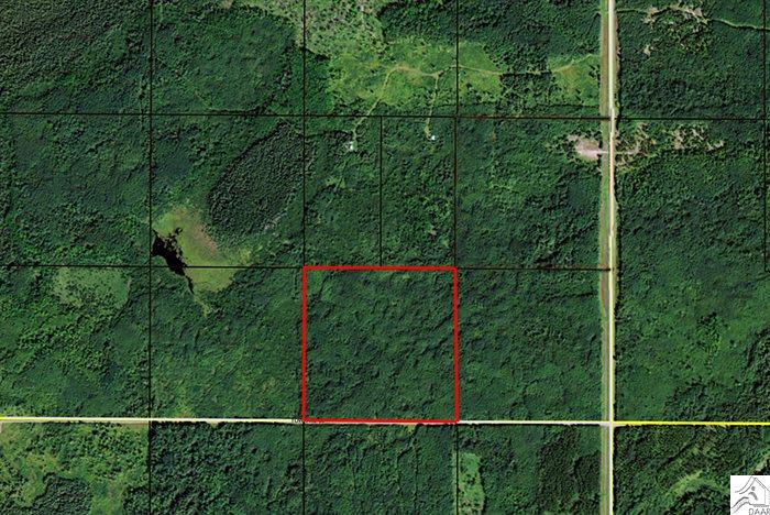 TBD County Rd 8, Littlefork, MN 56653