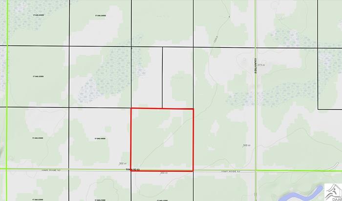 TBD County Rd 8, Littlefork, MN 56653