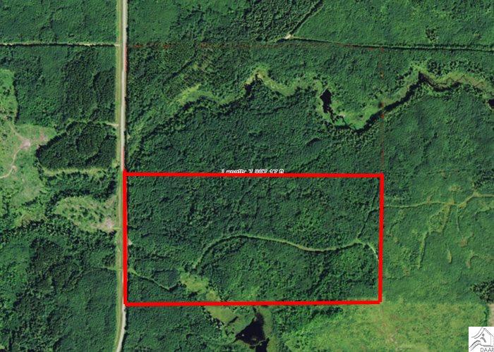 TBD County Rd 8, Littlefork, MN 56653