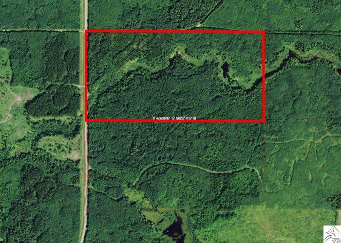 TBD County Rd 8, Littlefork, MN 56653