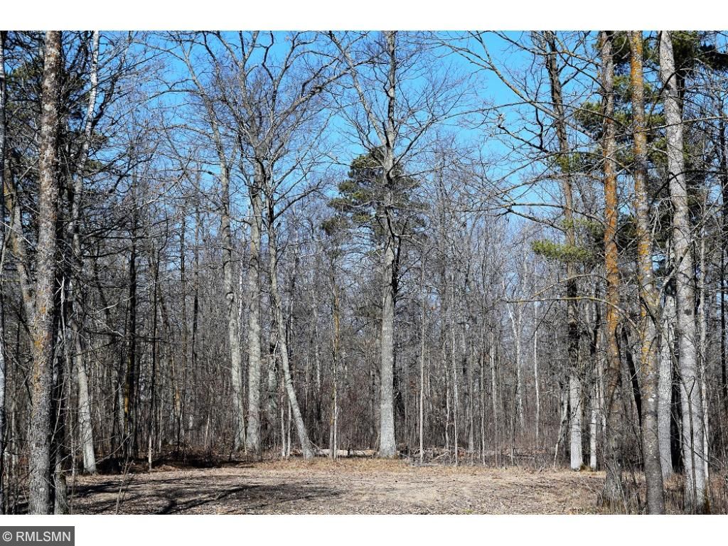 XXX Pine Drive, Longville, MN 56655