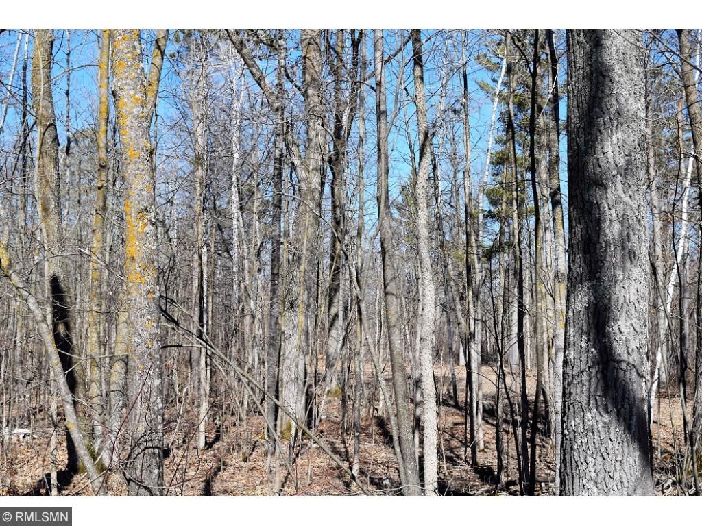 XXX Pine Drive, Longville, MN 56655