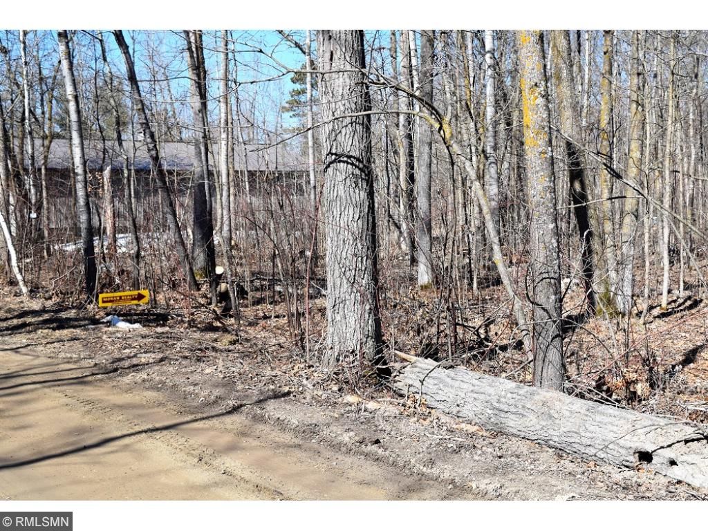 XXX Pine Drive, Longville, MN 56655