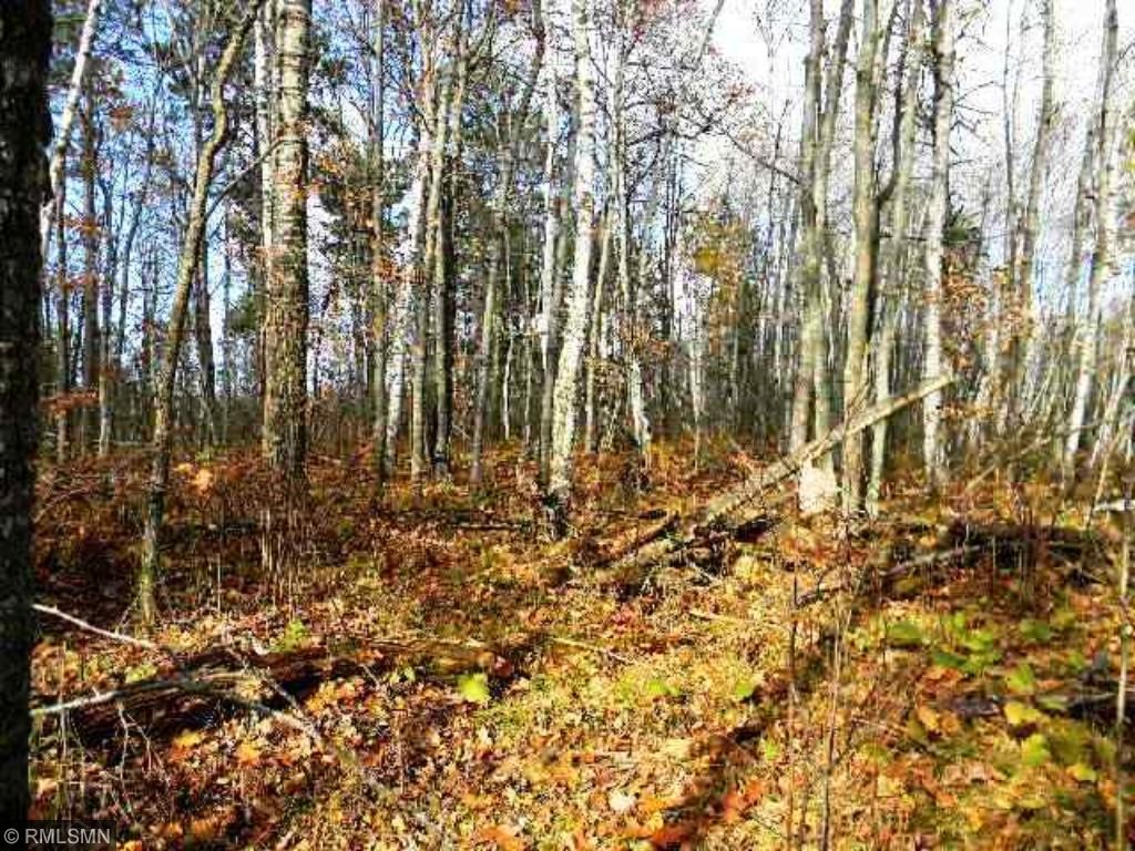 TBD Wabedo Pass Road NE, Longville, MN 56655