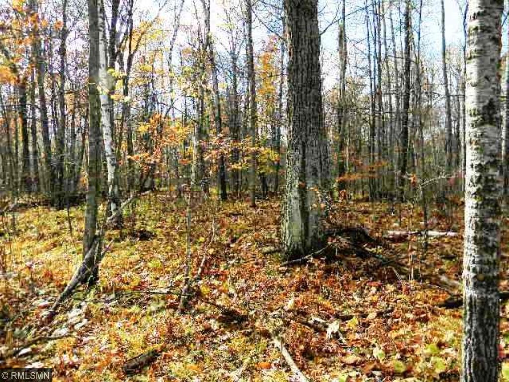 TBD Wabedo Pass Road NE, Longville, MN 56655