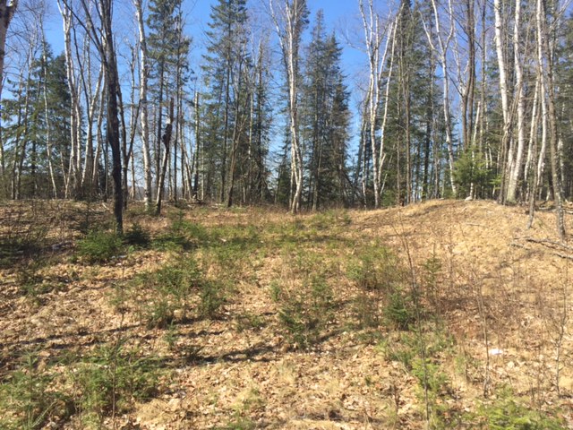 TBD Highland Lake Trail, Marcell, MN 56657