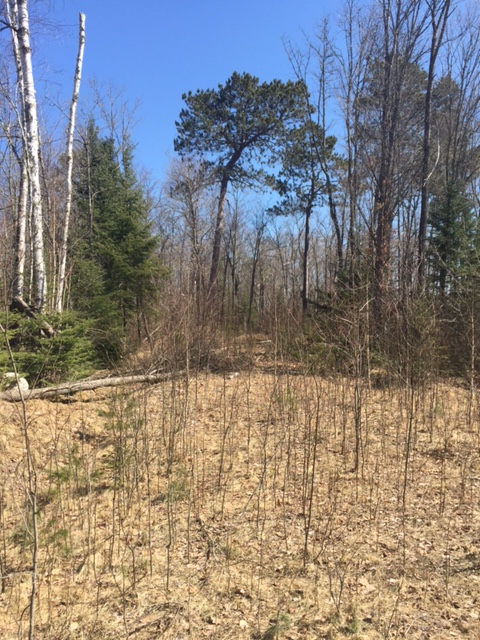 TBD Highland Lake Trail, Marcell, MN 56657