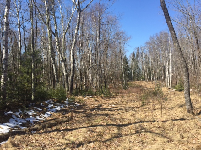 TBD Highland Lake Trail, Marcell, MN 56657