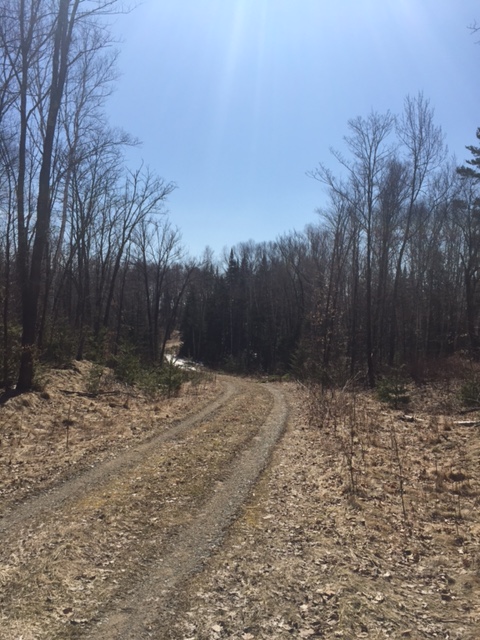 TBD Highland Lake Trail, Marcell, MN 56657
