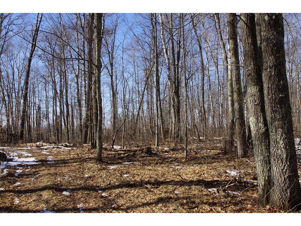XXX Parsonage Trail NE, Outing, MN 56662