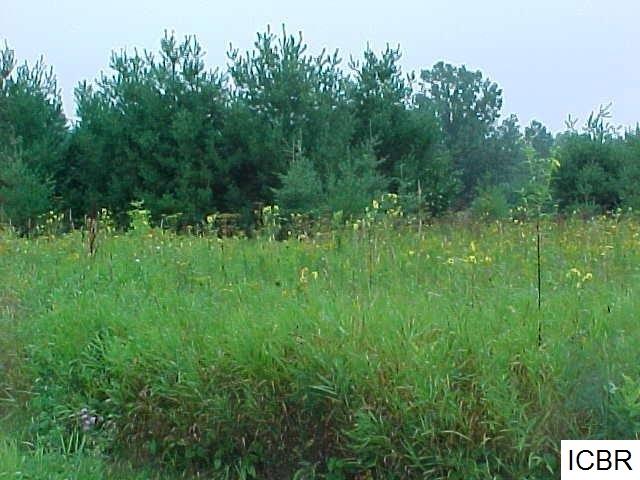 xxxx SE MILL STREET, Remer, MN 56672