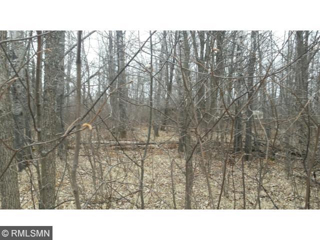 TBD Myers Lane, Remer Twp, MN 56672
