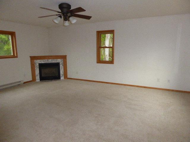 7509 Willow River DrRemer, MN, 56672Cass County