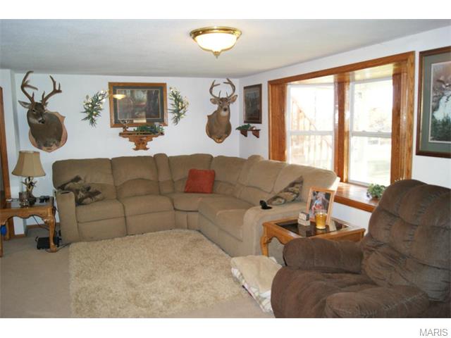 261 County Rd 199, Dora, MO 56537