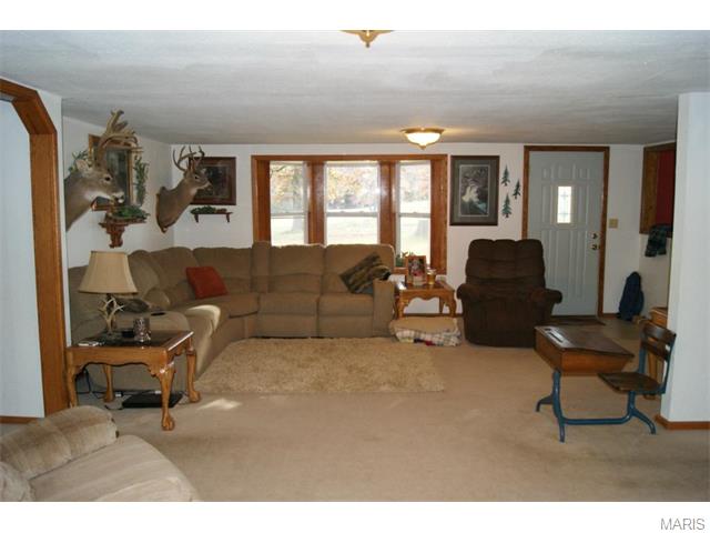 261 County Rd 199, Dora, MO 56537