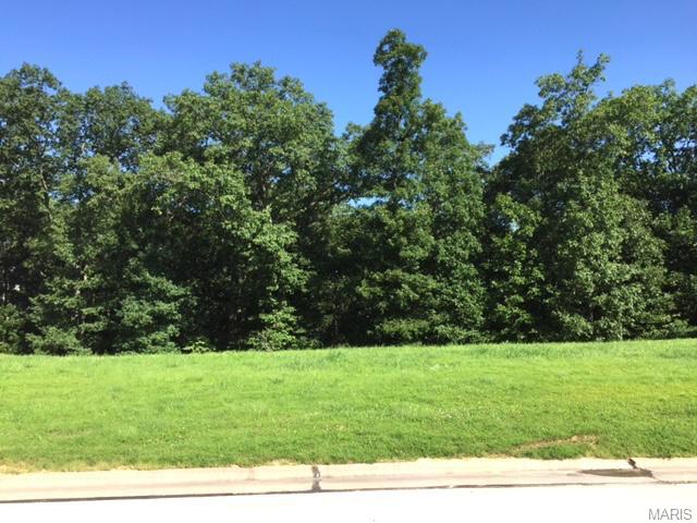 16645 Wycliffe Place, Chesterfield, United States 63005