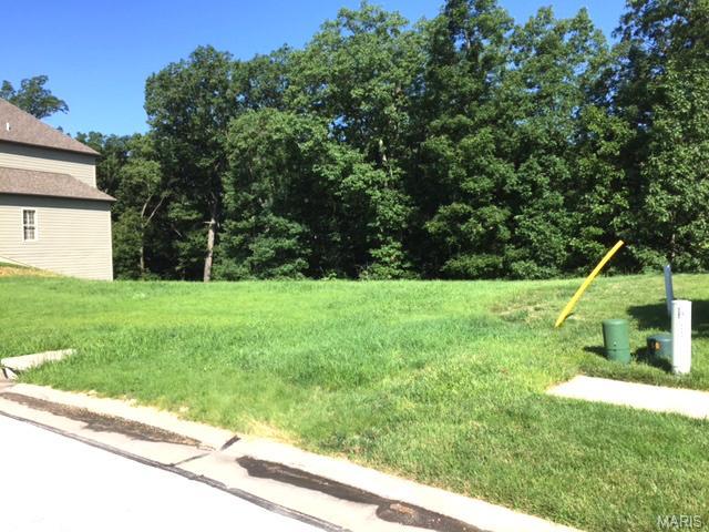 16645 Wycliffe Place, Chesterfield, United States 63005