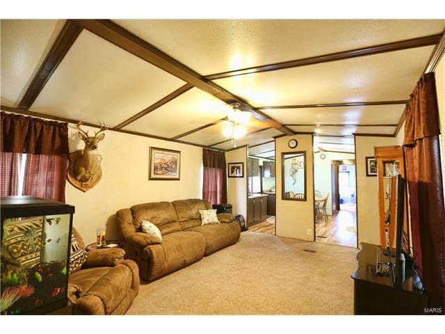 343 North Lakeview Court, Catawissa, MO 63015