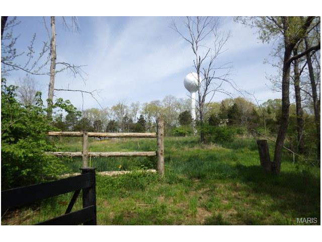 8007 Local Hillsboro, Cedar Hill, MO 63016