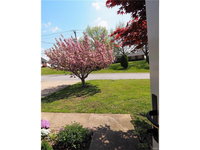 1301 Missouri Avenue, Crystal City, MO 63019