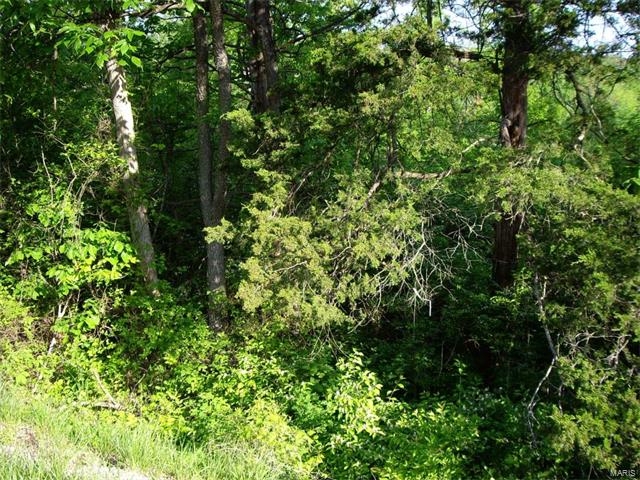 0 Hwy 30 - 9.05 Ac, Dittmer, MO 63023