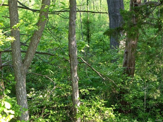 0 Hwy 30 - 9.05 Ac, Dittmer, MO 63023