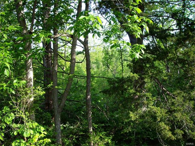 0 Hwy 30 - 9.05 Ac, Dittmer, MO 63023