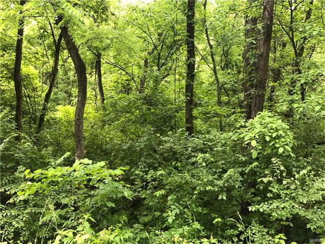 0 Pine Acres Lots 1,2,3,4, Fenton, MO 63026