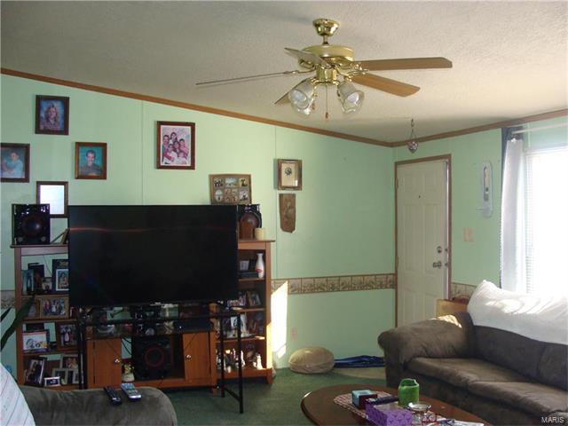305 Douglas Street, Hematite, MO 63028