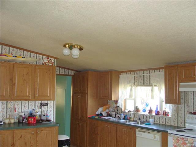305 Douglas Street, Hematite, MO 63028