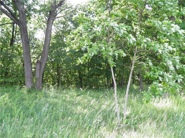 11385 River Hills, Festus, MO 63028