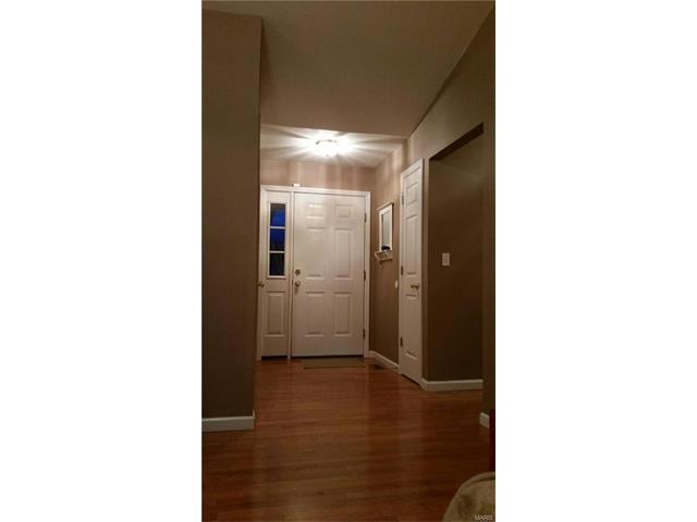 206 Gran Vista Drive, Festus, MO 63028
