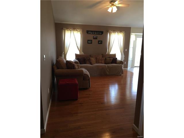 206 Gran Vista Drive, Festus, MO 63028