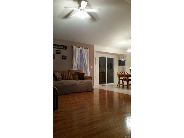 206 Gran Vista Drive, Festus, MO 63028