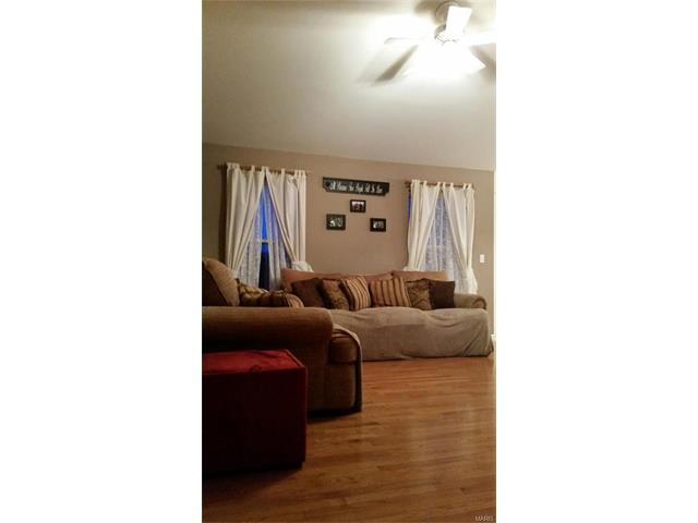 206 Gran Vista Drive, Festus, MO 63028