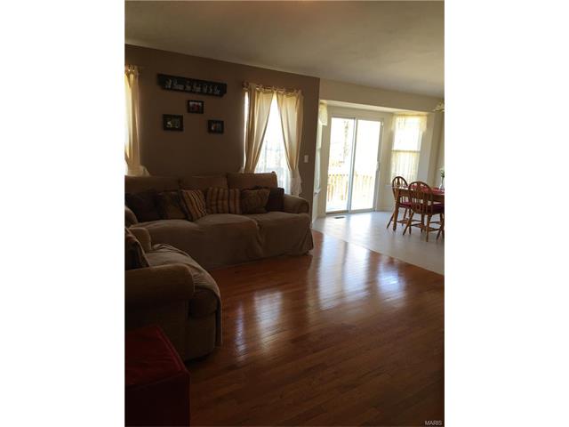 206 Gran Vista Drive, Festus, MO 63028