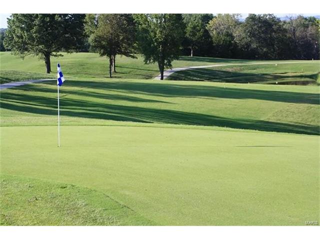 9401 East Vista Drive, Hillsboro, MO 63050