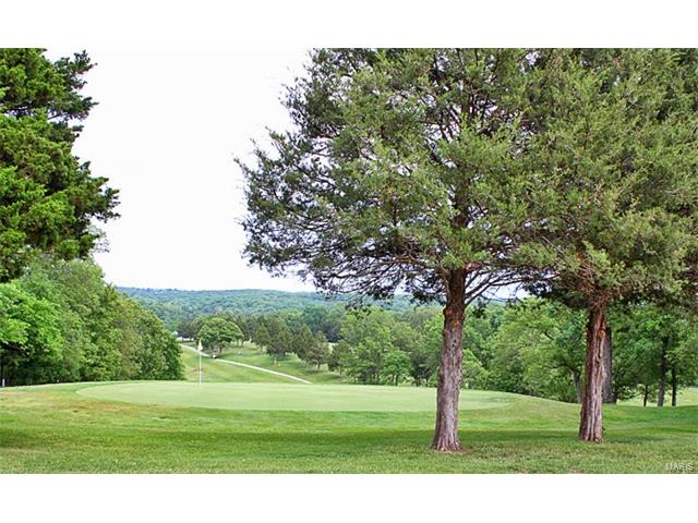 9401 East Vista Drive, Hillsboro, MO 63050